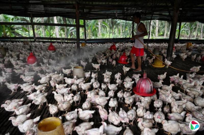 �����£��¼���ũҵս�Ը��������ǵ���ʾ