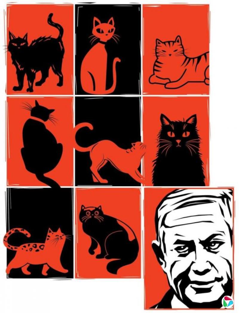 �����ظ壺��̹�Ǻ����ΰܾ���¶ ����è���ܡ�������?����ʱ��