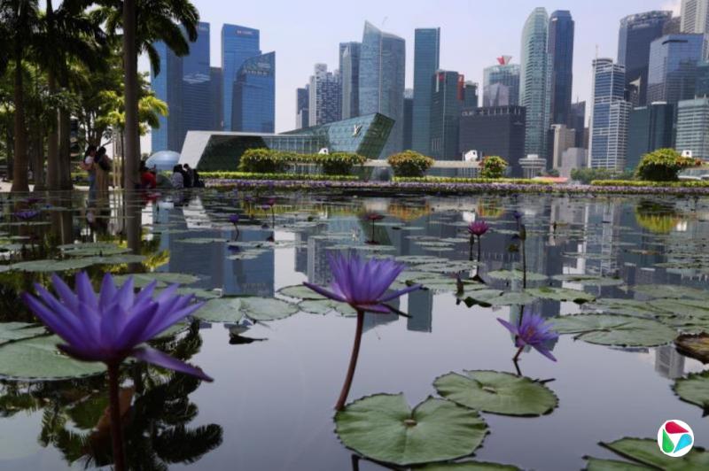 ����һ��