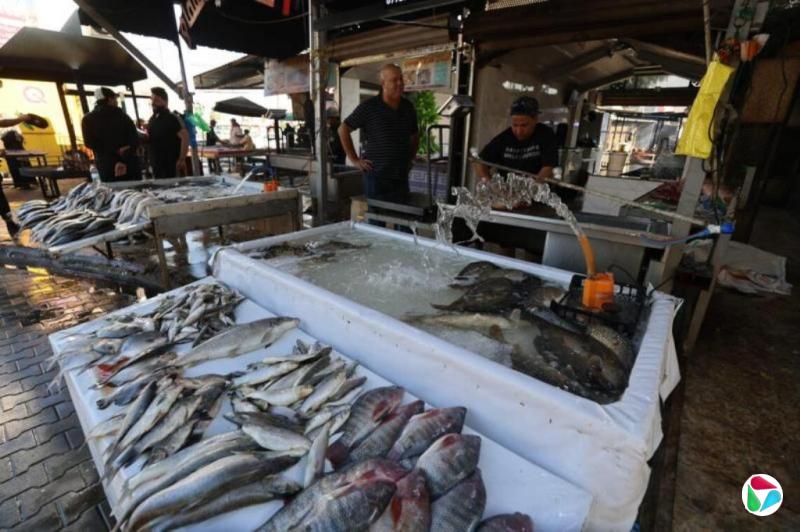 伟达:论美国推动他国改朝换代的成败得失