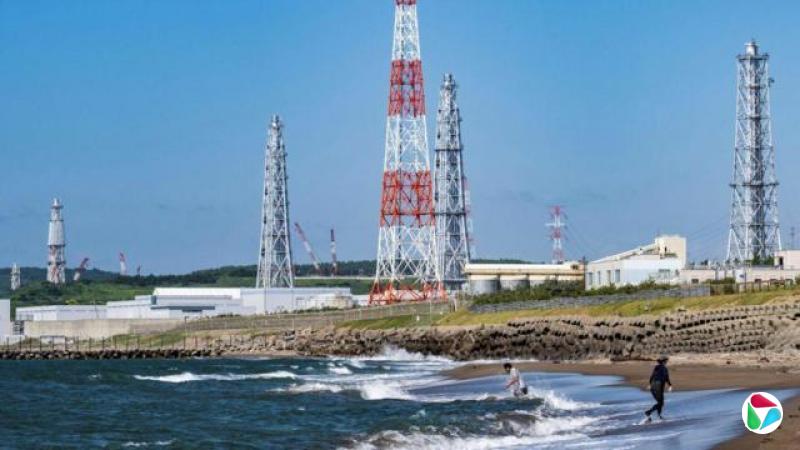 �����ں�̲�����ߣ������ǰ�������˵糧��