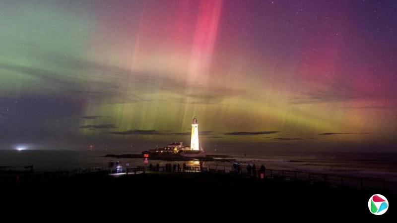 ����͵���