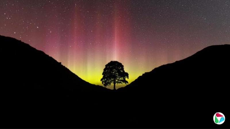 ÿһ�μ��ⶼ��һ��һ�ε����顣