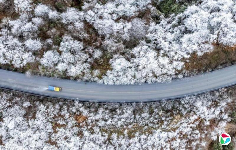 ��һ�����������Ӱ���й� �ֵ��б�ѩ