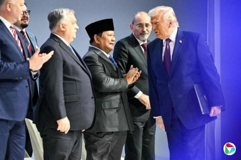 �ƻ������¼��µĺ�����