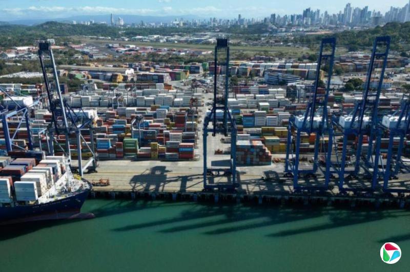 ��ý���������Գ��Ͳþ���������ǿȨ����