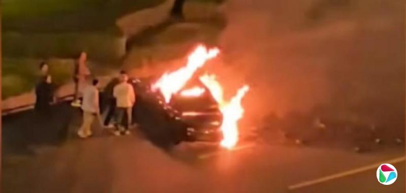 ȫ������ �й���ֹ����ʽ���Ű�