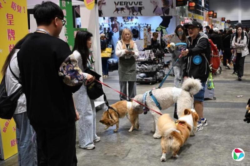 �������귢��׼����ֻ������ʳ��������