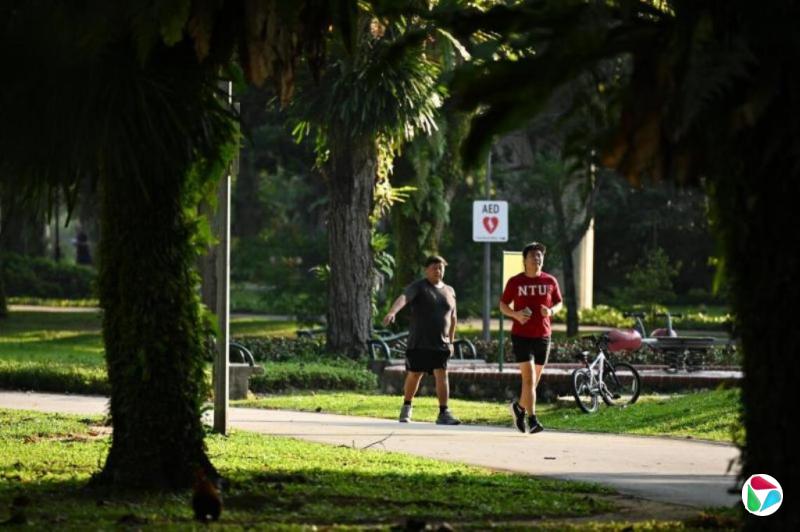 ������ȫ����ĳɰ�֢������Ԥ��