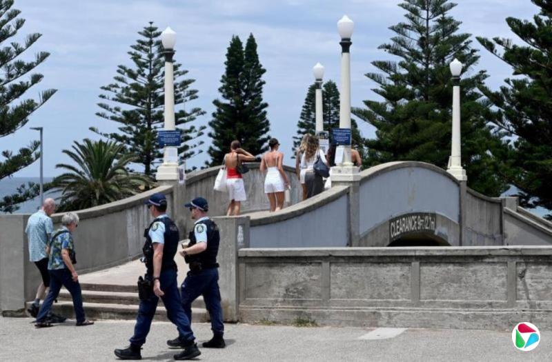 ��ȥ���� ������֯���ɵ���в�������Ӹ�����