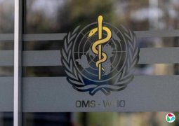 ����ͨ���ϼ����������ٲ�����Ⱦ����