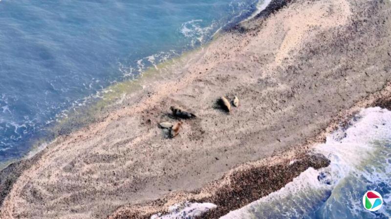 �й��״β�׽���ɶ���ߺ�����Ⱥ½����Ӱ��