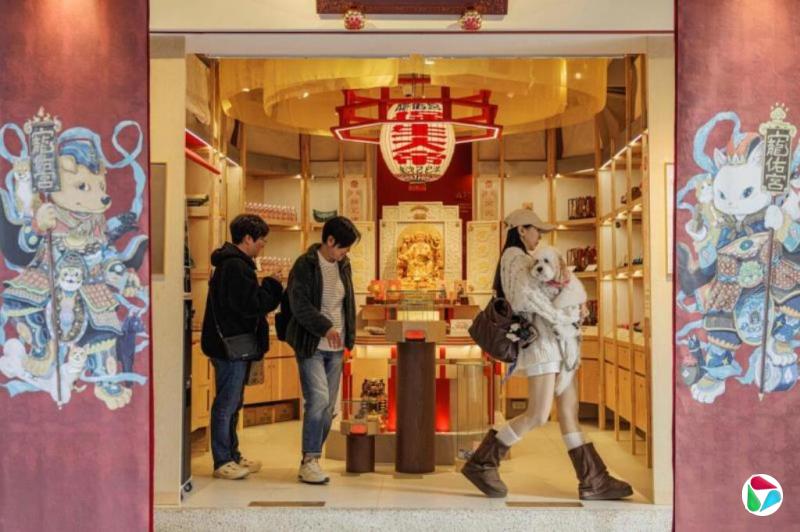 ��ͼ����̨���ֳ���ר������ ��ëС�����ݱ����������