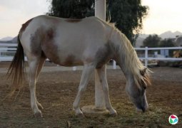 �˹��ԣ�ϲӭ����ף�� ������������