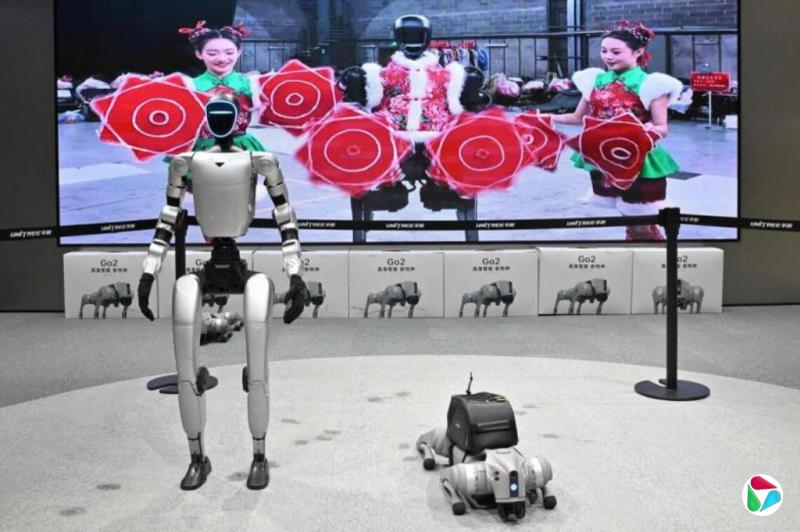 宇树机器人今年央视春晚表演武术