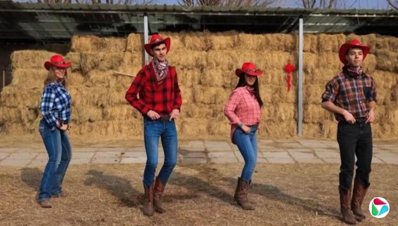 ��פ���⽻����ţ������ף������������ţ�о���