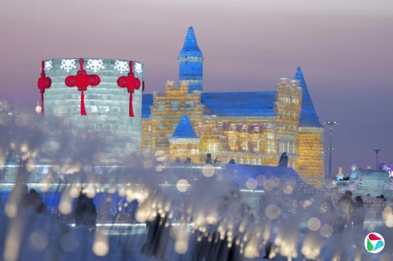 ����������������� ��������ѩ�������԰����