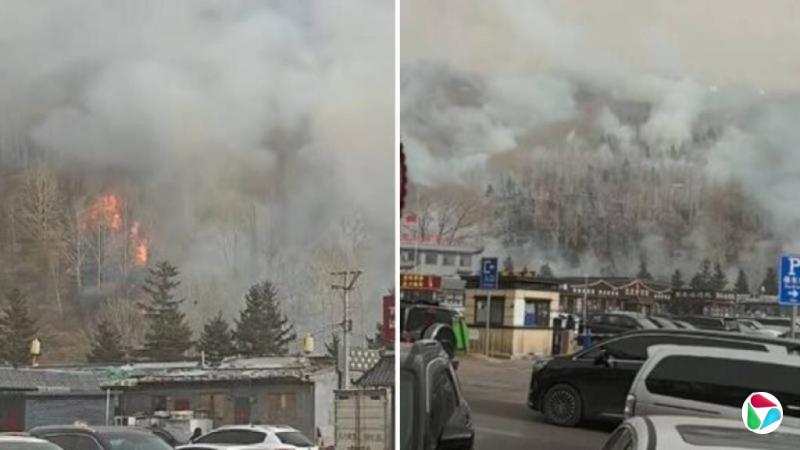 ɽ�����ʥ����̨ɽ����ɽ�� δ�����Ա����