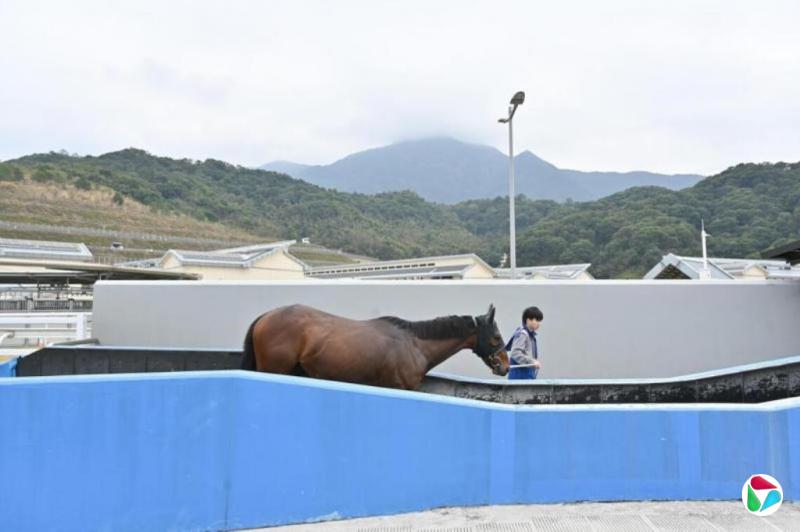 ���ݽ���10�¿����������� ý��Ƹ�30������