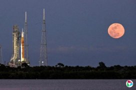 �ձ�������������̫������ ������Ԥ���������