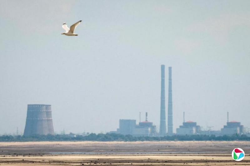 扎波罗热核电站周边局部停火 国际机构监督修复工作