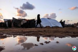 ����������ڶ԰���˹̹ͬ����׳���ɫ��