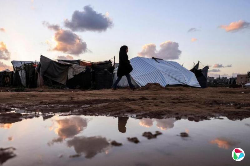 民调:美民众对巴勒斯坦同情度首超以色列