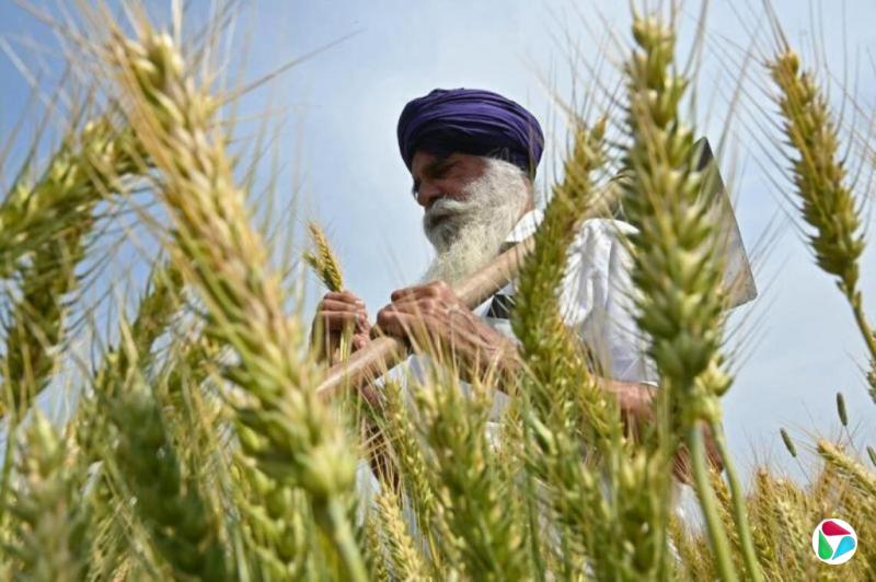 ӡ������֣�δ�������¸��� ��Ծ��񽡿�������в