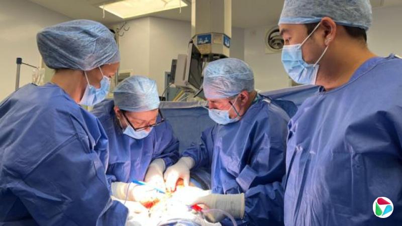 ����������ɫ�����������ſ��ֵ����ҽ�����׶�һ��ҽԺ�ʸ����������������