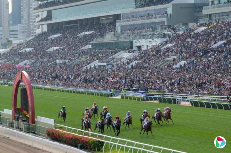 戴庆成:香港赛马旅游受欢迎的启示