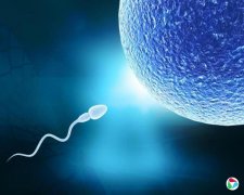 �����룺������0.87��˼��
����һλ�����ٴ���̥ʦ��ʵ�����ּ�