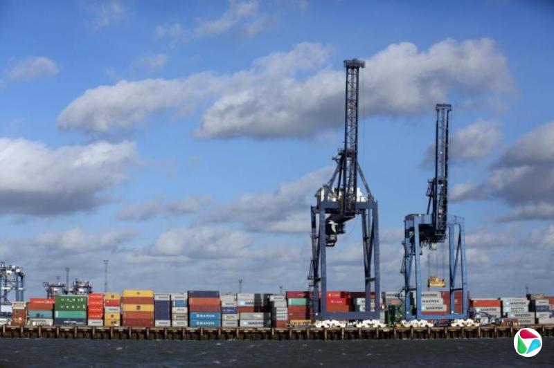 ������Ϊ�׿�����žݱ������ƽ����͸ۿ��չ�