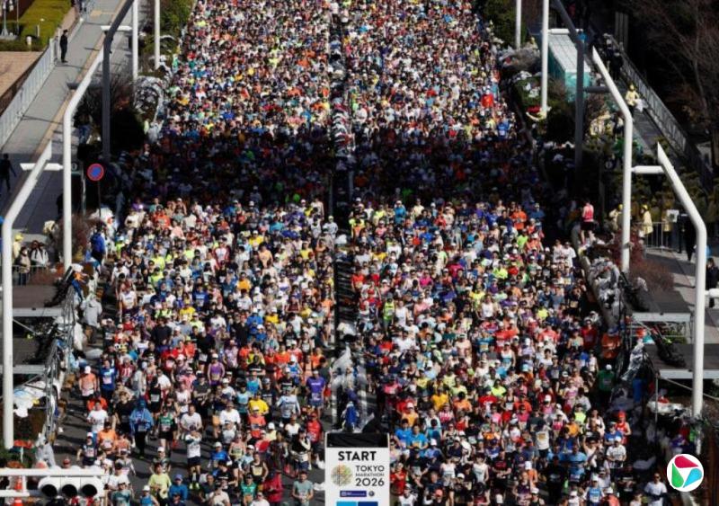 �й����񶫾������������Ƶ�