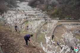 �й��˴�������������ũ�����Ͻ�