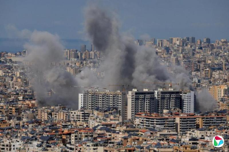 �Ծ���Ϯ��³���ϲ����� ���ƴ�����������������