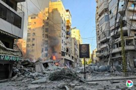 ��ɫ���������������ڻ��� �ٴζԱ�³���Ͻ�������Ϯ