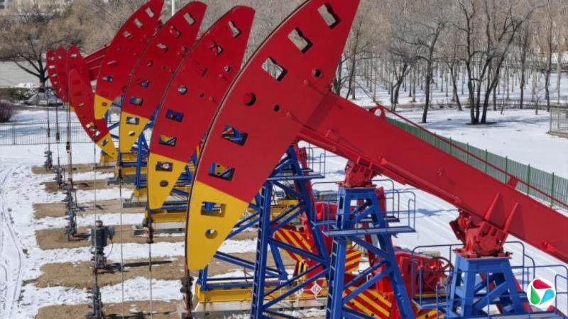 �����о�Ա���й��Ӵ�ʯ�ʹ��������ֲ����깩Ӧȱ��