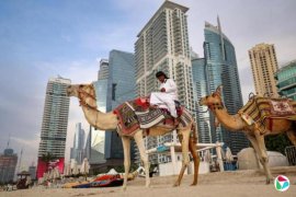 ��˹����ұ��ֿ��� ����ֱ�Ӳ����ͻ