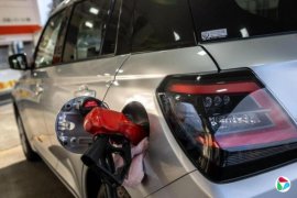 ��������ʯ�� �ձ����ͼ۸��������