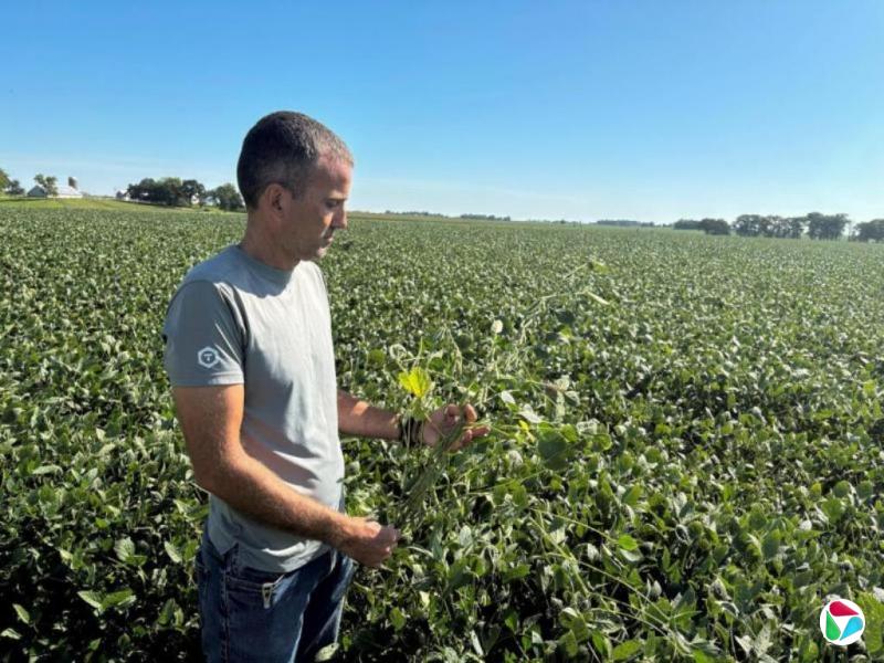 �󶹲ɹ��ϳ�ϰ�ػό�� ����������������ѡ��������ũ��ѡƱ