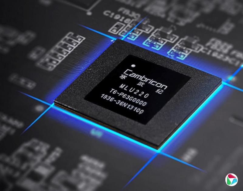 �����Ť��Ϊӯ ȥ�꾻������555%