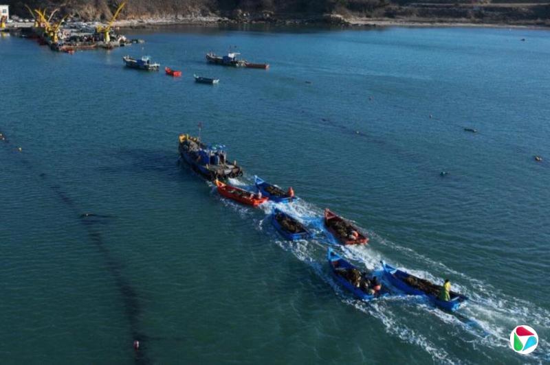 《求是》刊习近平文章:坚决维护中国领土主权和海洋权益