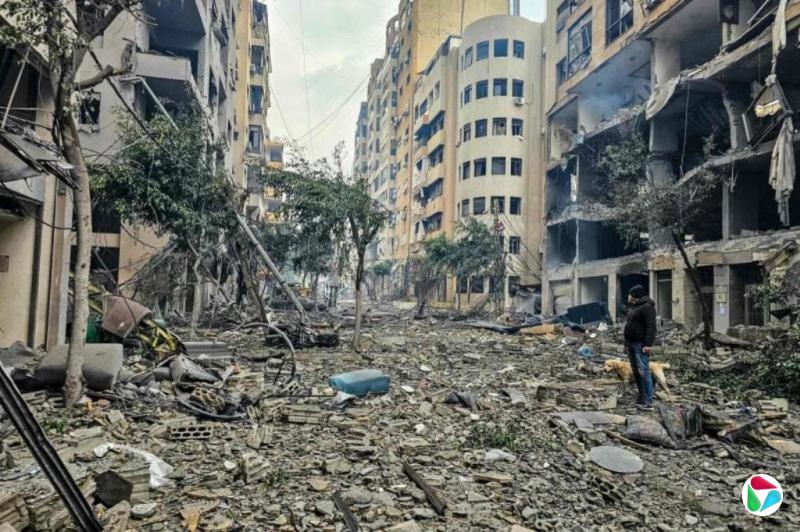 �Ծ���Ϯ������������ ���������̸��δ���Ӧ