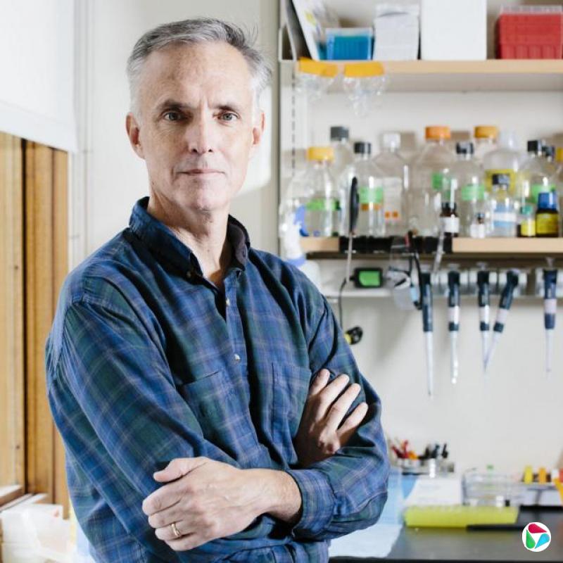 詹姆斯·柯林斯和他的团队利用他们开发的AI工具,以前所未有的速度发现潜在的新抗生素。