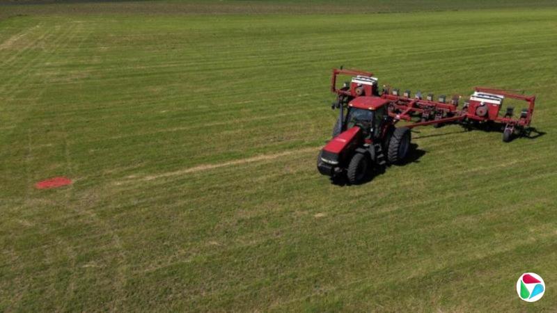 受中美元首会晤或推迟影响 大豆期货价格下跌逾2%