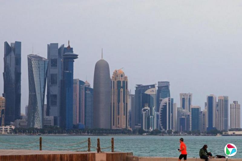 ��������è�ݸ����ˣ���ֻ��è״������