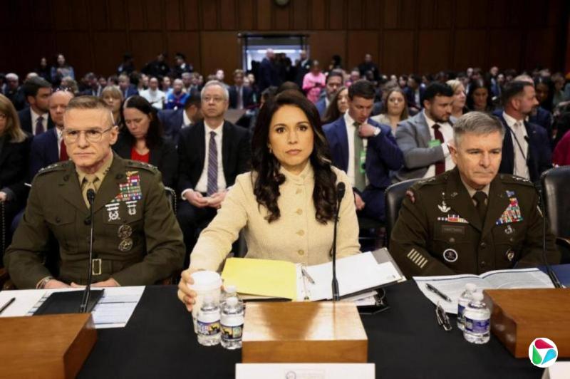 ���鱨�ܼ��ȷ�����ʹ�������ü����в