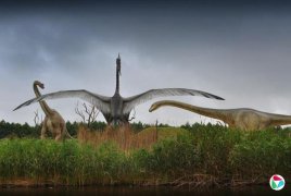 ���˵ã���AI��ɱ���⣬���ɱ�����