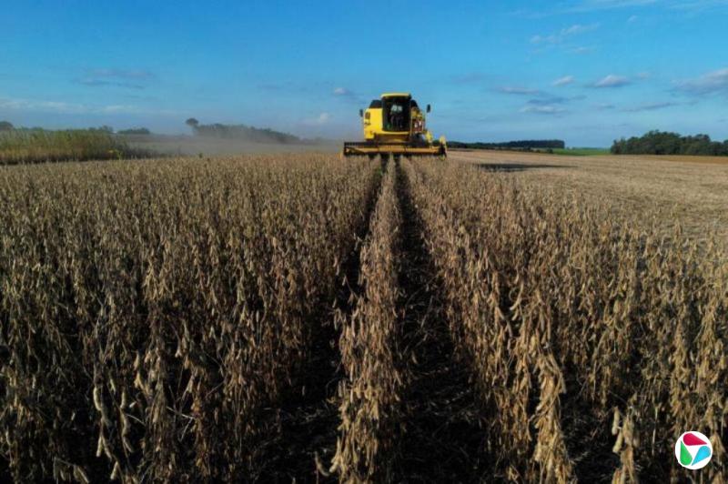 ����ý�壺�й��ſ��������������Ӳݺ����涨