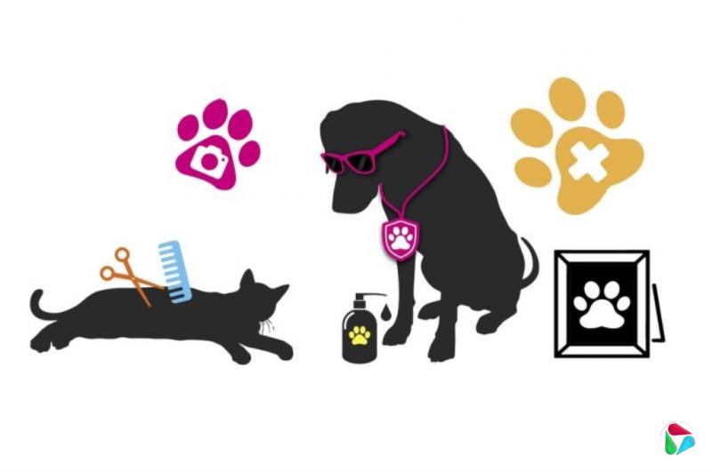 中国特稿:毛孩子催生千亿元市场 悦己浪潮中它经济狂飙